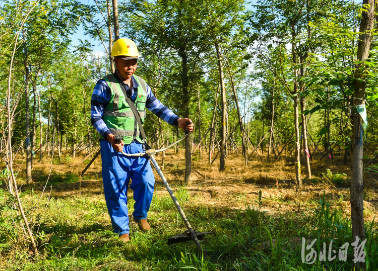 c5c33432d8262c4d095657aab3ac4107_1211606100_16471359882781n.jpg c5c33432d8262c4d095657aab3ac4107_1211606100_16471359882781n.jpg