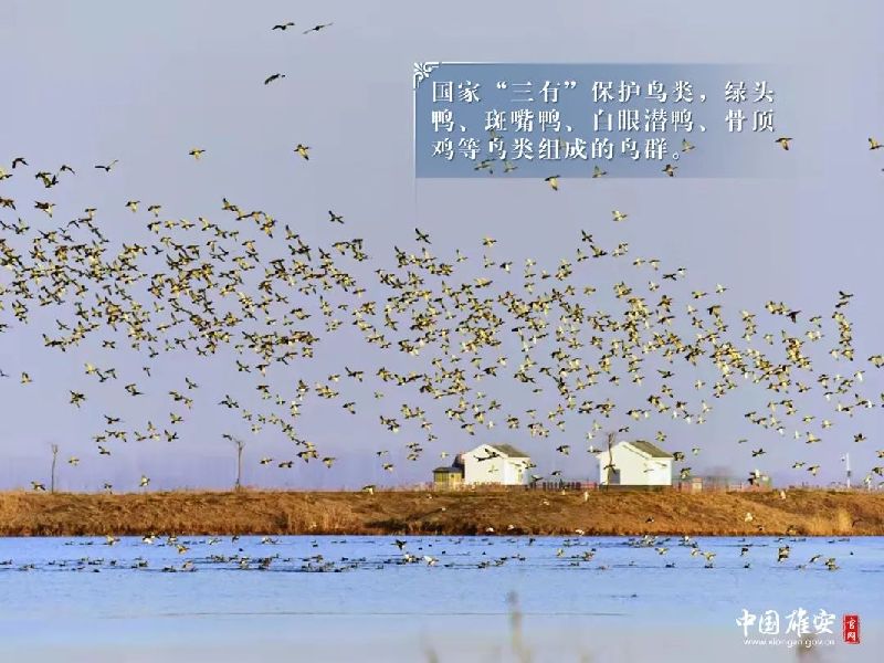 fd3ca4fc07b58e3b4eb43de6665c1236_1211625969_16485362788081n.jpg fd3ca4fc07b58e3b4eb43de6665c1236_1211625969_16485362788081n.jpg