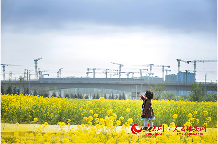 a0f63b3e0baadc84d02b461e8fbc3975_LOCAL202204121434000178145870889.jpg a0f63b3e0baadc84d02b461e8fbc3975_LOCAL202204121434000178145870889.jpg