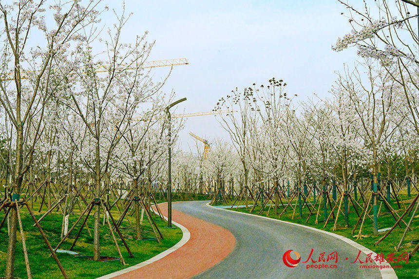 95af11d900e28c7df91910556c21f2c7_LOCAL202204121055000388157029338.jpg 95af11d900e28c7df91910556c21f2c7_LOCAL202204121055000388157029338.jpg