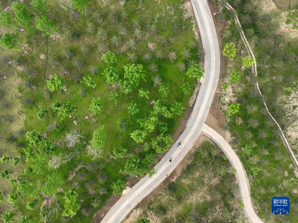 dd81f678c264760fcb94c06ad40905bc_1211641131_16509551218941n.jpg dd81f678c264760fcb94c06ad40905bc_1211641131_16509551218941n.jpg