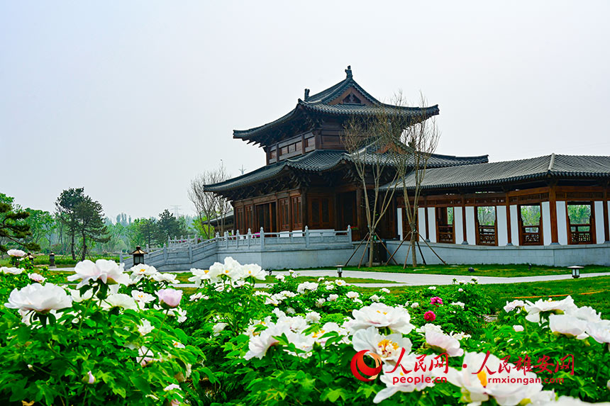 de5d5f99262c7b87b3b87593b51103cc_LOCAL202204281513000402532358403.jpg de5d5f99262c7b87b3b87593b51103cc_LOCAL202204281513000402532358403.jpg