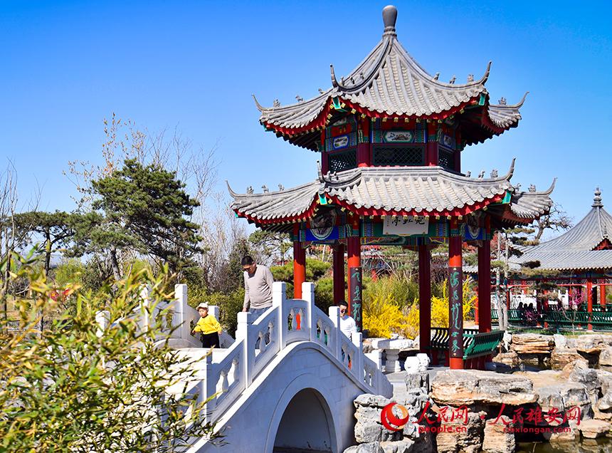 春天的雄安郊野公園，春和景明。人民網(wǎng)宋燁文攝