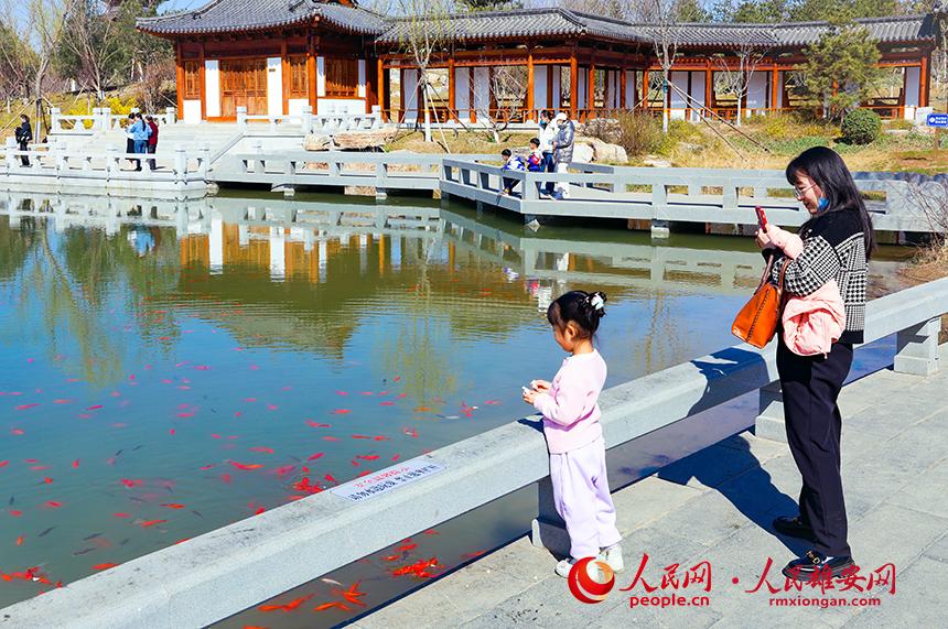 雄安悅?cè)莨珗@一角，不少家長(zhǎng)帶著孩子前來(lái)游玩。人民網(wǎng)宋燁文攝