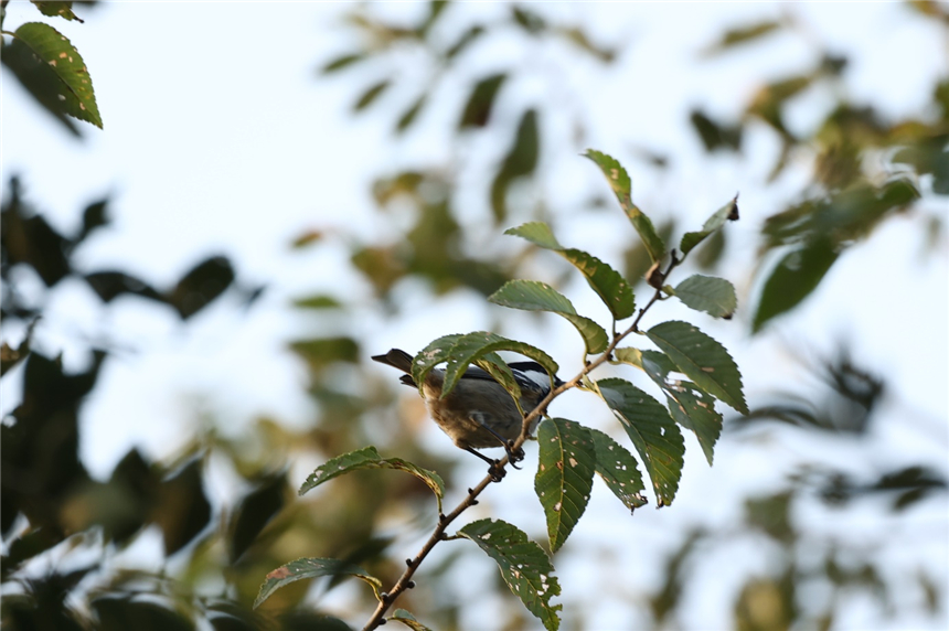 ed3961cb1cb501dab24fe56b63043b1c_LOCAL17001040070149QCLBBXHR8.jpg ed3961cb1cb501dab24fe56b63043b1c_LOCAL17001040070149QCLBBXHR8.jpg