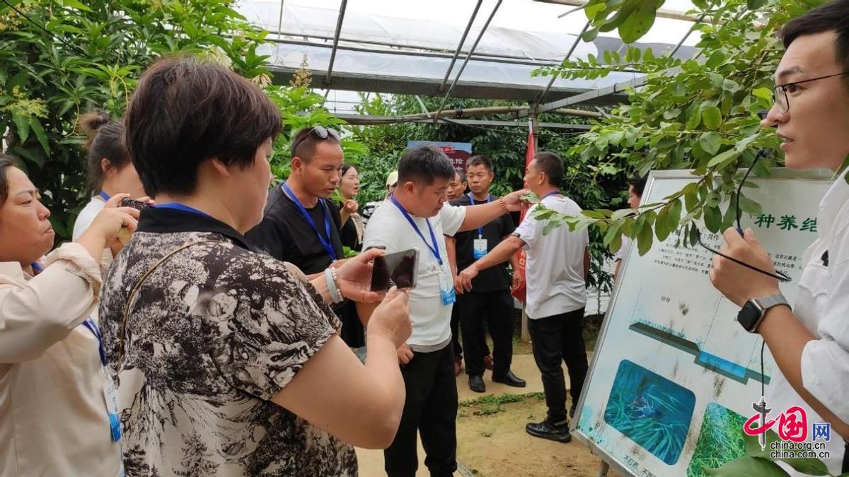 97bb246949d5b1a335b282ae782fc9ef_116712389_92d3f2d0-f57f-4829-8b66-ea4f58141105_batchwm.jpg 97bb246949d5b1a335b282ae782fc9ef_116712389_92d3f2d0-f57f-4829-8b66-ea4f58141105_batchwm.jpg