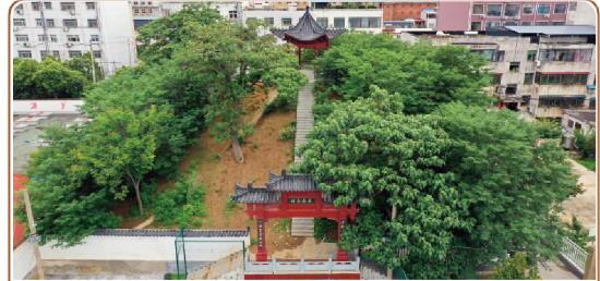 598c24f2c56ab200559e80cb8b259e95_08_08_3184.jpg 598c24f2c56ab200559e80cb8b259e95_08_08_3184.jpg