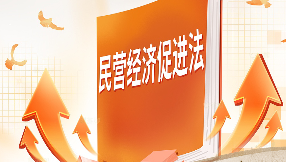 刑事司法視角下的民營經(jīng)濟促進法 “涉企犯罪刑事治理”專業(yè)論壇述要