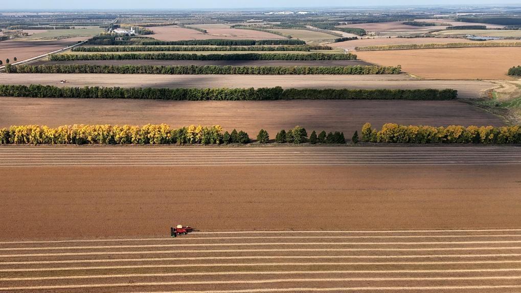 飯碗端得更牢 餐桌更加豐富