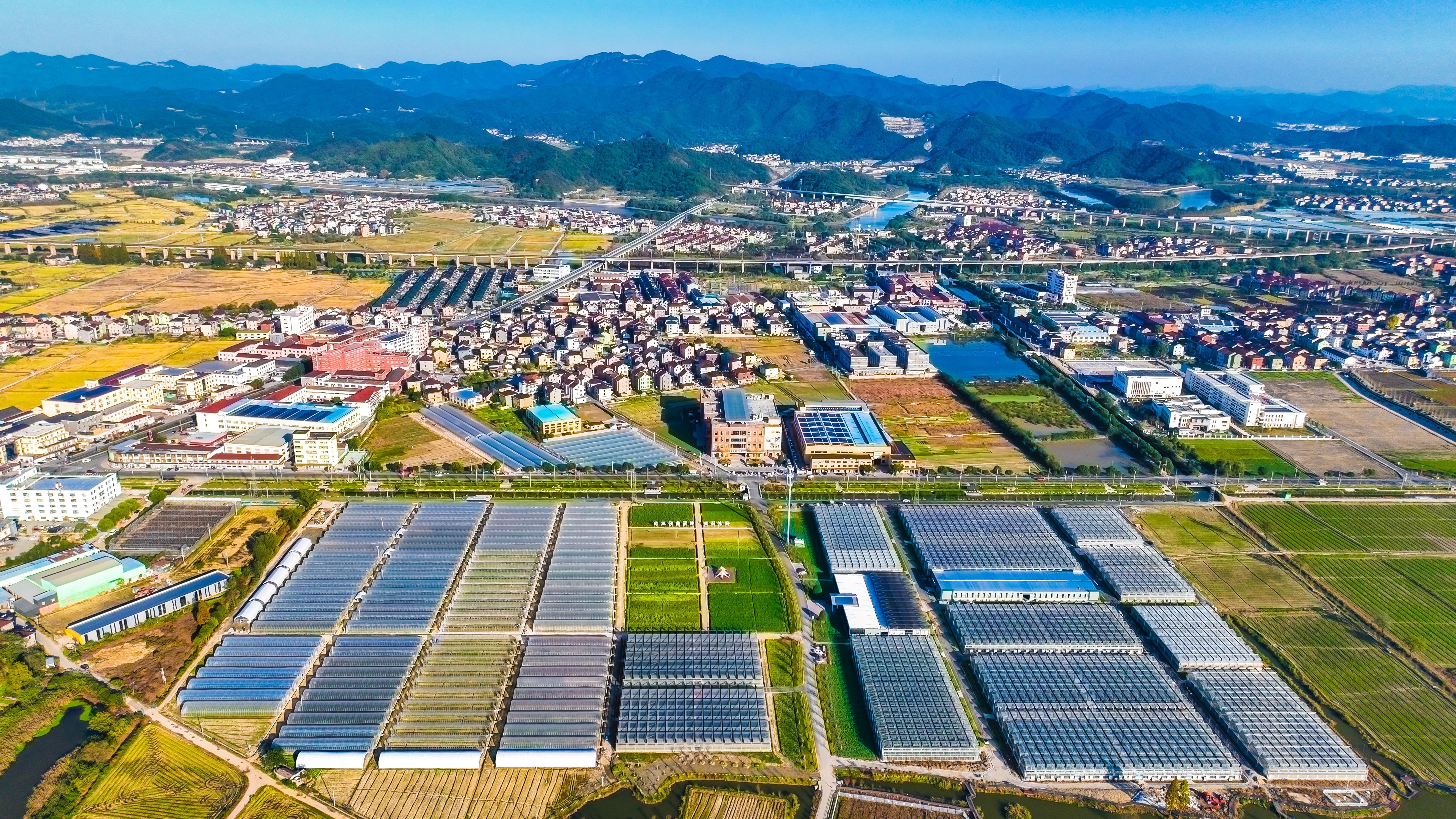 傳化集團(tuán)有限公司