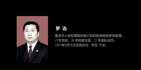 羅迅：大愛(ài)像蒲公英種子播灑群眾心間